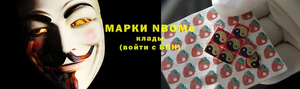 стаф Кинешма