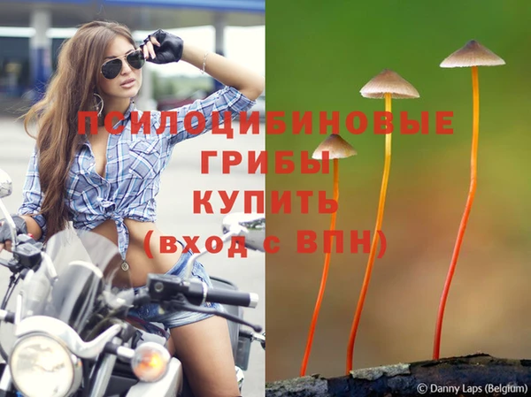 мдпв Алзамай