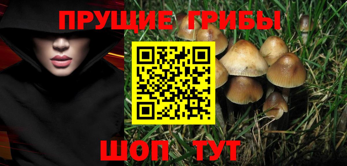 купить   Вход с VPN  Когалым  Псилоцибиновые грибы GOLDEN TEACHER  Псилоцибиновые грибы Magic Shrooms 