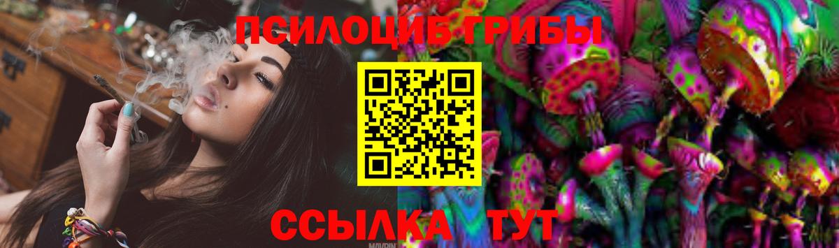 Галлюциногенные грибы Psilocybe Когалым